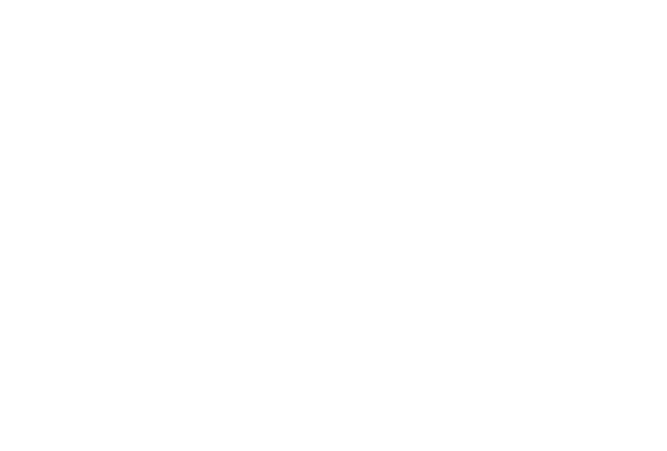 The AAA logo consists of three capital letter 'A's arranged inside a circular emblem featured on Erin King- Best Keynote Speaker website.